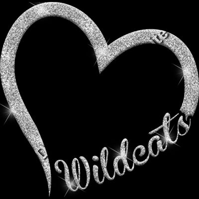 GLT36 SILVER GLITTER Thumbnail